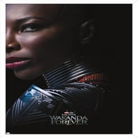 Marvel Black Panther: Wakanda Forever - Aneka One Leets Wall Poster, 14.725 22.375 рамки
