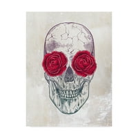 Изящно изкуство 'череп рози' платно изкуство от Рейчъл Колдуел